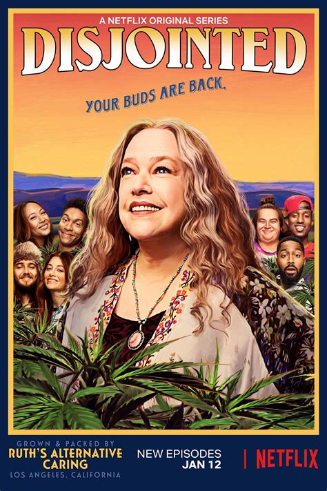 cartoonhd disjointed|Disjointed (TV Series 2017–2018) .